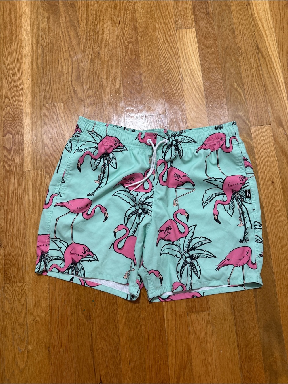 Hollister Mint Swim Trunks with Pink Flamingo Pattern